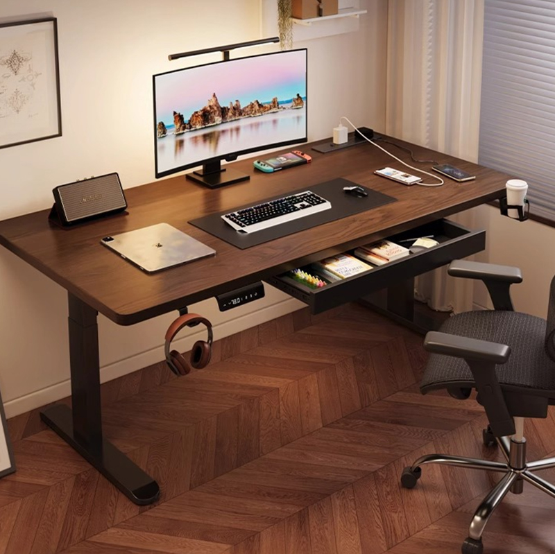 Modern Iron Dual Motor Electri - Desk Setup Designer ulasan dan harga